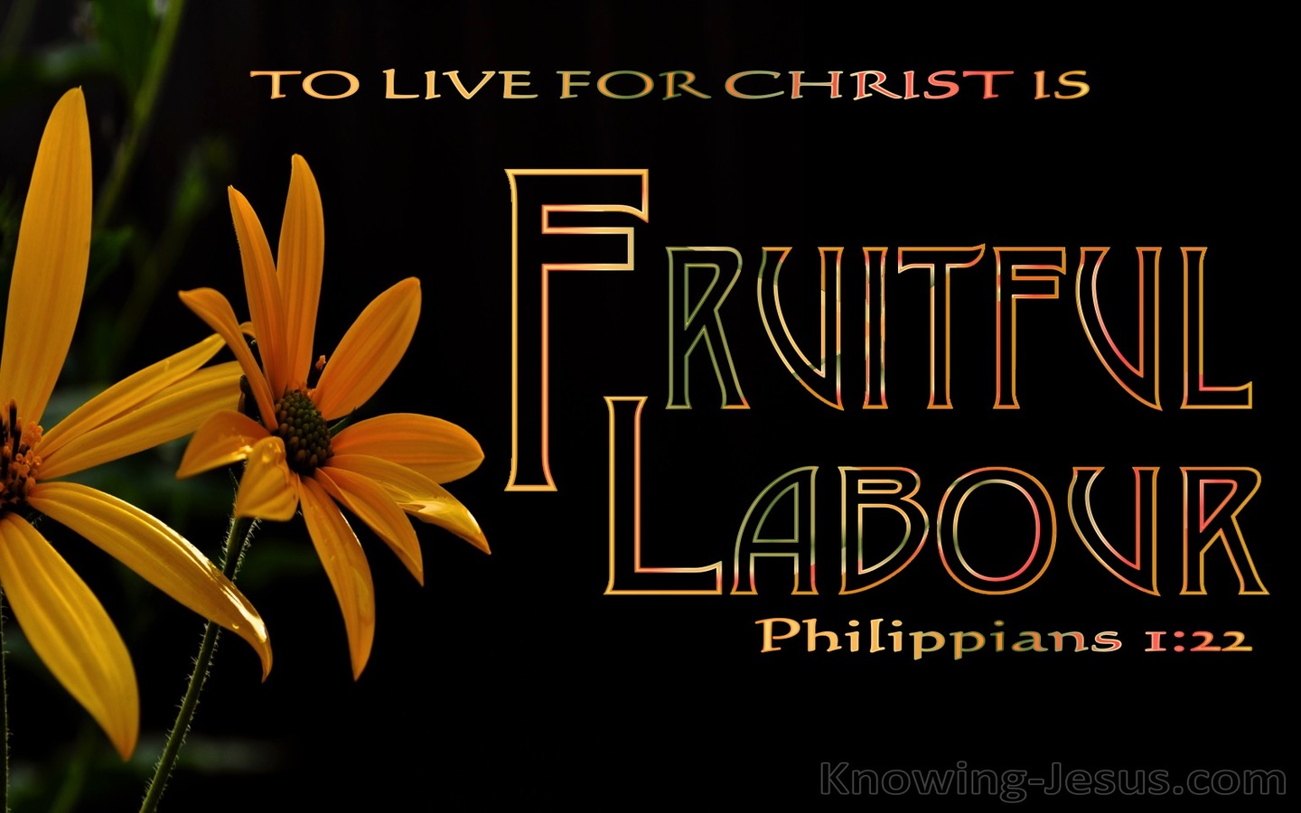 Philippians 1:22 To Live Is Fruitful Labour For Me (black)